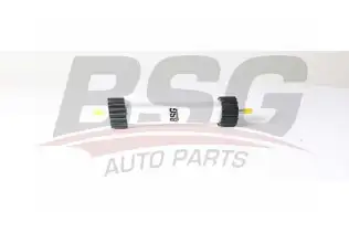 BSG 90130030 Yakıt Filtresi