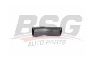 BSG 70720202 Turbo Hortumu