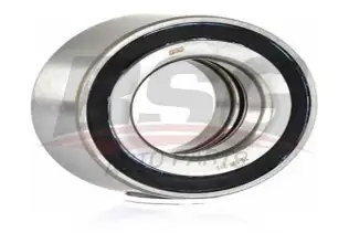 BSG 30605015 Porya Rulmanı Arka