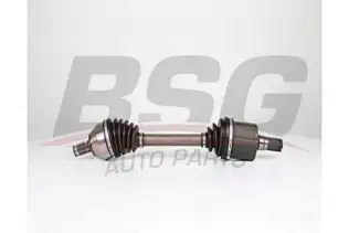 BSG 30350038 Aks Komple Ön Sol