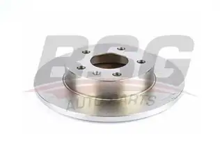BSG 65210017 Fren Diski Arka