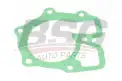 BSG 30116018 Devirdaim Contası