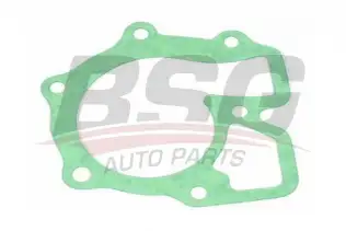 BSG 30116018 Devirdaim Contası