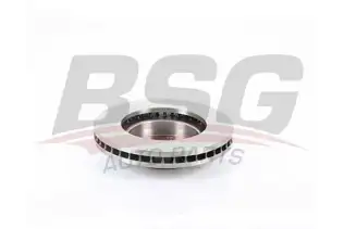 BSG 85210017 Fren Diski Ön