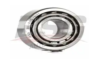 BSG 30605001 Porya Rulmanı Ön