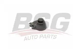 BSG 90995008 Silecek Kol Kapağı Arka