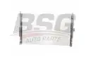 BSG 70520019 Su Radyatörü