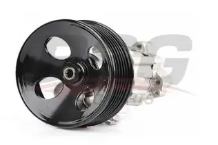 BSG 65355003 Direksiyon Pompası