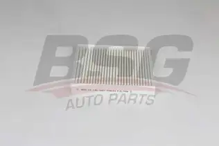 BSG 25145007 Polen Filtresi