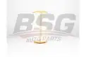 BSG 25135001 Hava Filtresi