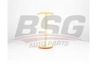 BSG 25135001 Hava Filtresi