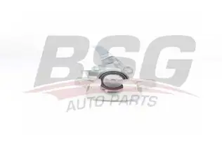 BSG 65245005 Fren Kaliperi Arka Sağ