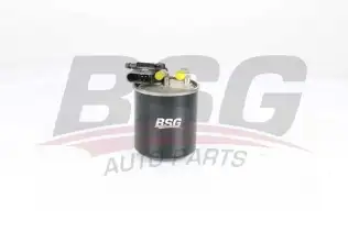 BSG 60130017 Yakıt Filtresi