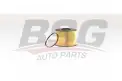 BSG 60130022 Yakıt Filtresi