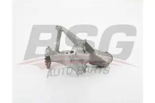 BSG 70101003 Yağ Pompası