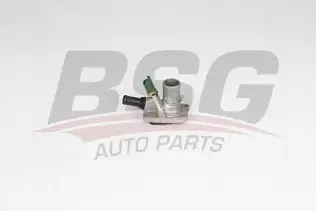 BSG 25126003 Termostat