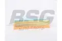 BSG 60135024 Hava Filtresi