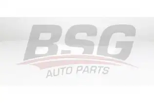BSG 60145032 Polen Filtresi