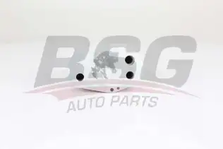 BSG 15506019 Yağ Radyatörü