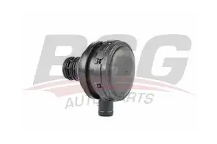 BSG 30700034 Motor Buhar Yağ Ayırıcı