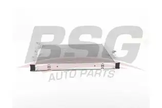 BSG 15520029 Su Radyatörü