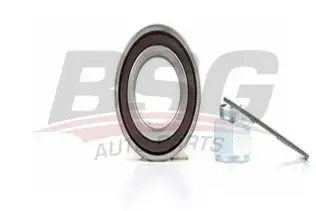 BSG 70605003 Porya Rulmanı Ön