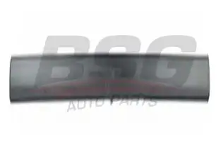 BSG 65925014 Kapı Bandı Ön Sağ
