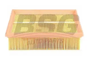 BSG 65135009 Hava Filtresi