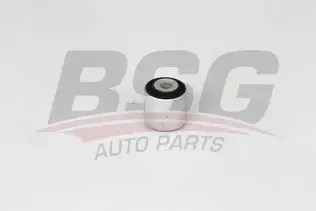 BSG 90700207 Salıncak Burcu