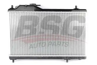 BSG 40520019 Su Radyatörü