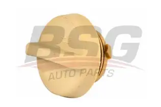 BSG 65700199 Motor Yağ Kapağı