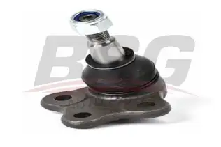 BSG 30310043 Rotil Alt