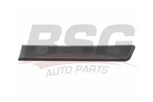 BSG 70924008 Kapı Kusağı Arka Sol