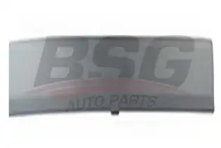 BSG 30924037 Kapı Bandı Ön Sol