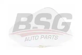 BSG 65910036 Ayna Camı Sağ