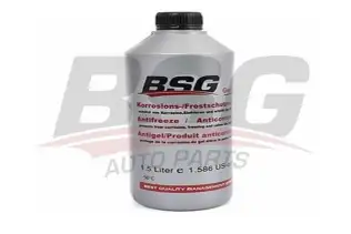 BSG 99994001 Antifiriz