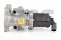 BSG 65836008 Egr Valfi