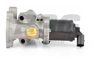 BSG 65836008 Egr Valfi