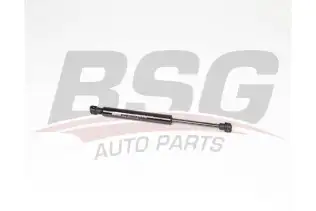 BSG 15980047 Motor Kaput Amortisörü