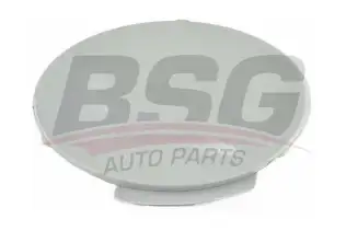 BSG 65922062 Çeki Demir Kapağı