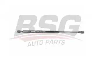 BSG 15980003 Bagaj Amortisörü