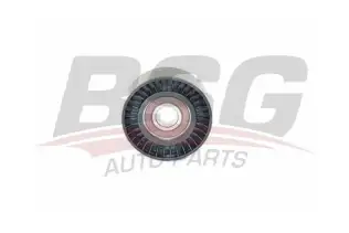 BSG 60615026 V Kayış Gergi Rulmanı
