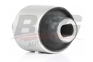 BSG 60700130 Salıncak Burcu