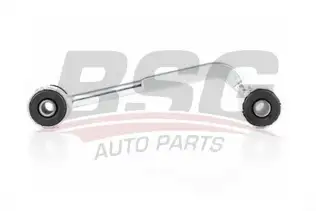 BSG 60310172 Viraj Askı Rotu Arka Sol