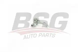 BSG 65975022 Kapı Gergisi Ön