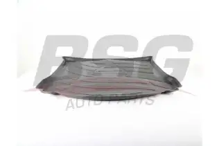 BSG 30935037 Bagaj Havuzu