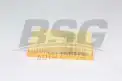 BSG 30135029 Hava Filtresi