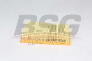 BSG 30135029 Hava Filtresi