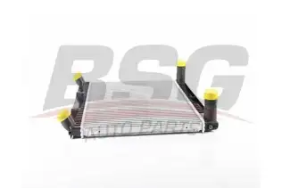 BSG 15535024 Turbo Radyatörü