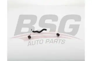 BSG 60725004 Yakıt Hortumu